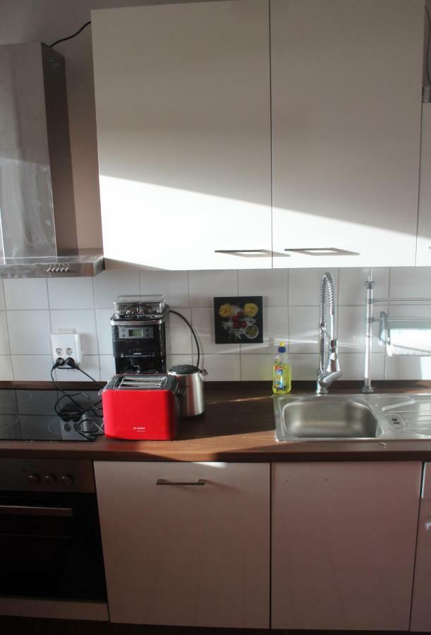 Ziebigk Appartement Deluxe Dessau-Rosslau Kültér fotó